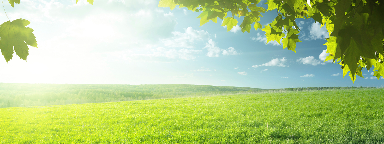 Bowtech Studio Reusch